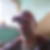 Profilbild von Tino Wiesner