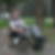 Profilbild von Dieter Salthammer