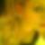 Profilbild von Judit May