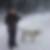 Profilbild von Ute Weber