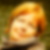 Profilbild von Beatrix Plonka