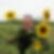Profilbild von Claus Gloger