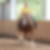 Profilbild von Annette Schmidt