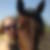 Profilbild von Josephine Schiller