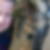 Profilbild von Sascha Bosse