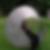 Profilbild von Claudia Selbach
