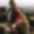 Profilbild von Thorsten Hein