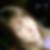 Profilbild von Linda Fröbel