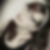 Profilbild von Tina Ra
