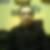 Profilbild von Martin Zinner