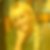 Profilbild von Grit Wickboldt