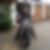 Profilbild von Harald Rosko