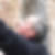 Profilbild von Thomas Bertelshofer