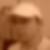 Profilbild von Thomas Steffen