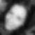 Profilbild von Mirja Kutrieb
