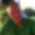 Profilbild von Michael Rebling