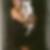 Profilbild von Sandra Duesing