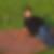 Profilbild von Katrin Schuricht-Seidel