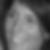 Profilbild von Christina Schäfer