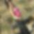 Profilbild von Diana Barthelmes