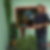 Profilbild von Ingo Witte
