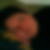 Profilbild von Yvonne Kuchling
