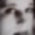 Profilbild von Karolin Kieffer