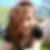 Profilbild von Anne Pusch