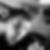 Profilbild von Tommy Rebentisch