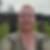 Profilbild von Marion Sali