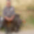 Profilbild von Rainer Rostock