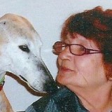 Profilfoto von Irene Halabi