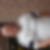 Profilbild von Leo Cornips