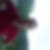 Profilbild von Rudolf Hoch