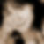 Profilbild von Heike Leopold