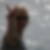 Profilbild von Annette Wolf