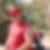 Profilbild von Daniel Wiese