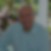 Profilbild von Werner Albers