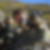 Profilbild von Andrea Stehle