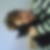 Profilbild von Nicole Berg