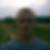 Profilbild von Simon Schulz