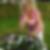 Profilbild von ilonka weißohn
