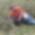 Profilbild von Ralf Pieper