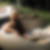 Profilbild von Irene Hitz