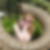 Profilbild von Maja Nicole Moll