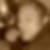 Profilbild von Raphael Will