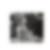 Profilbild von Sieglinde Wiesenthal