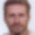 Profilbild von Stefan Süß