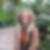 Profilbild von Gertrud Rigl