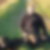 Profilbild von Alex Schnell